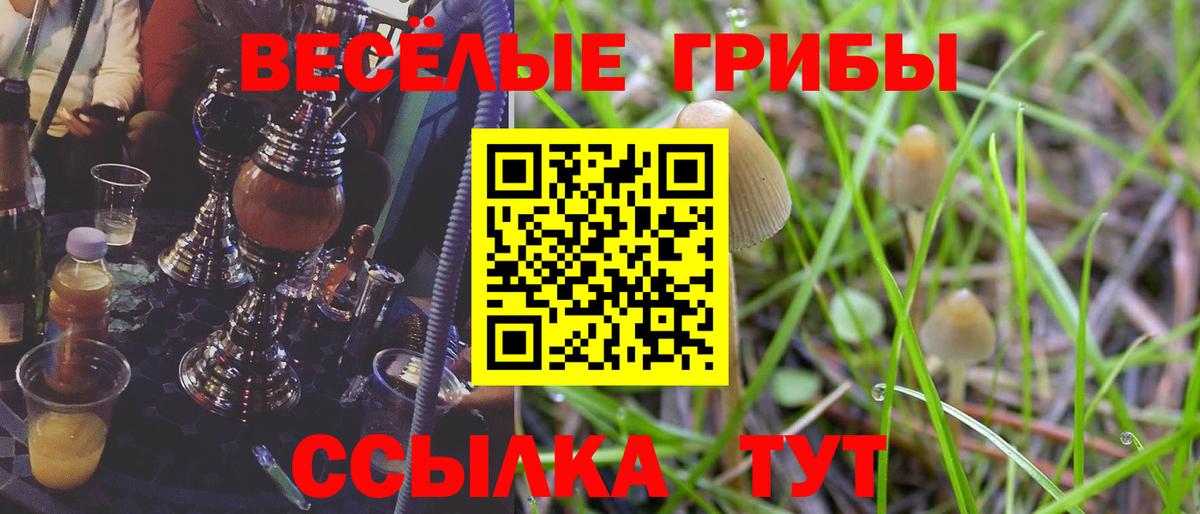 Псилоцибиновые грибы прущие грибы Бугуруслан