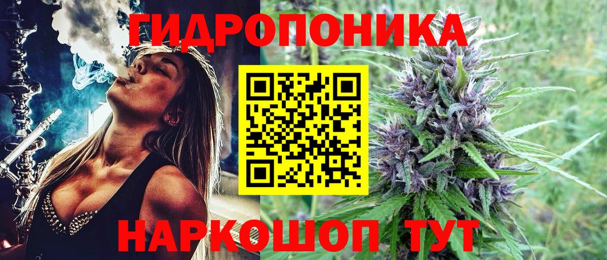 Бошки марихуана план  Каннабис White Widow  Вход с VPN  Бугуруслан 